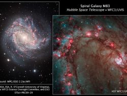 Hubble Sees Breathtaking Detail of the Pinwheel Galaxy
