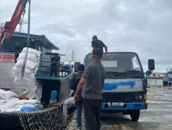 Beras Impor Ilegal Sebanyak 250 Ton Masuk Lewat Aceh