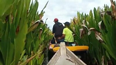 Menikmati Wisata Petualangan