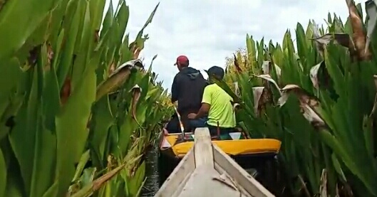 Menikmati Wisata Petualangan