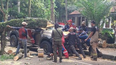 Status Siaga Darurat Bencana